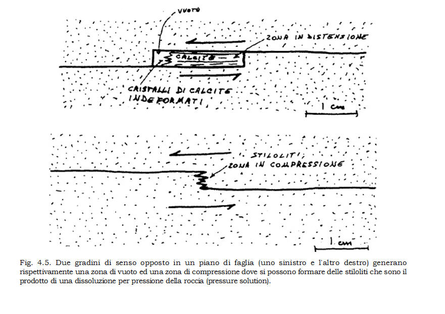 Minerale o fossile